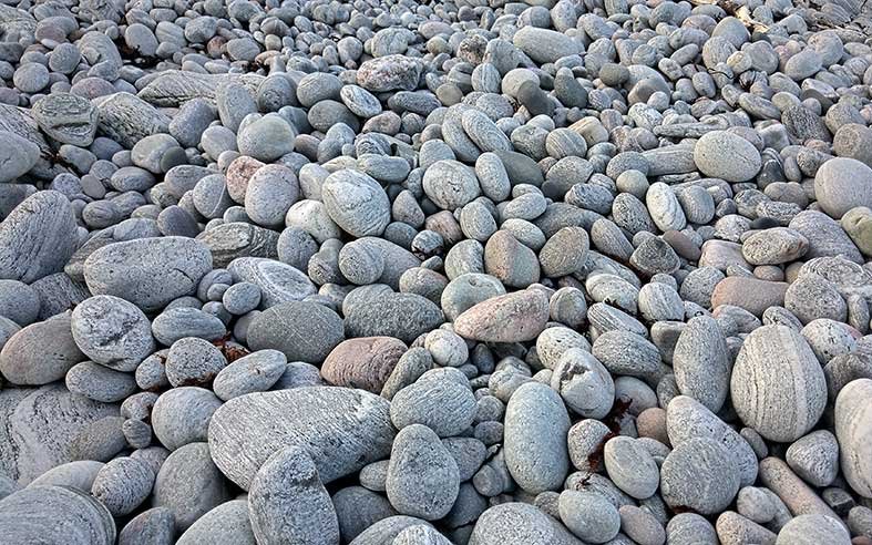 Pyöreitä rantakiviä lähikuvassa